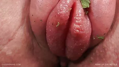 جهش یافته که دانلود فیلم کامل سکسی شاخکهای تبدیل شدن به یک عضو