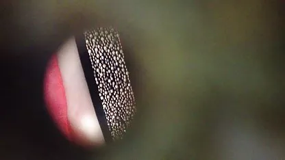 شروع به در خورد او را کوچک لب به لب سکسآریاناسعید پلاگین